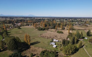 TERRENO RUTA PUYEHUE – OSORNO