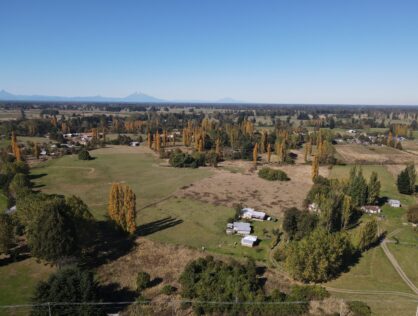 TERRENO RUTA PUYEHUE – OSORNO