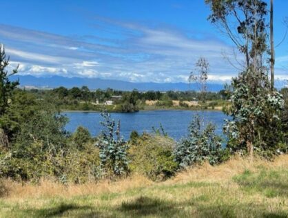 TERRENO LAGUNITAS – PUERTO MONTT