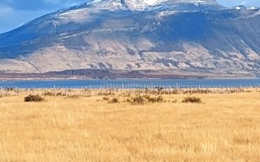 PARCELA H.FAMILIARES LOTE G – PUERTO NATALES